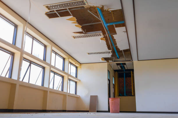 Best Commercial water damage restoration  in South Hill, NY