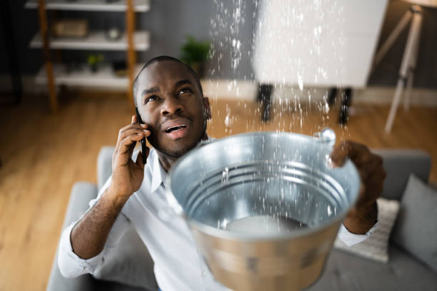 Best Ceiling water damage repair  in South Hill, NY