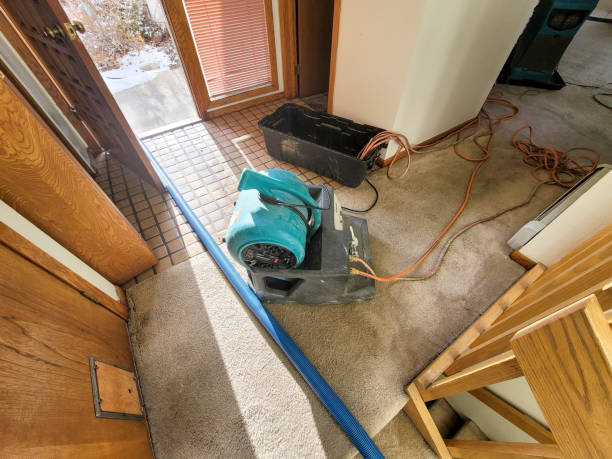 Best Water damage restoration insurance claims  in South Hill, NY