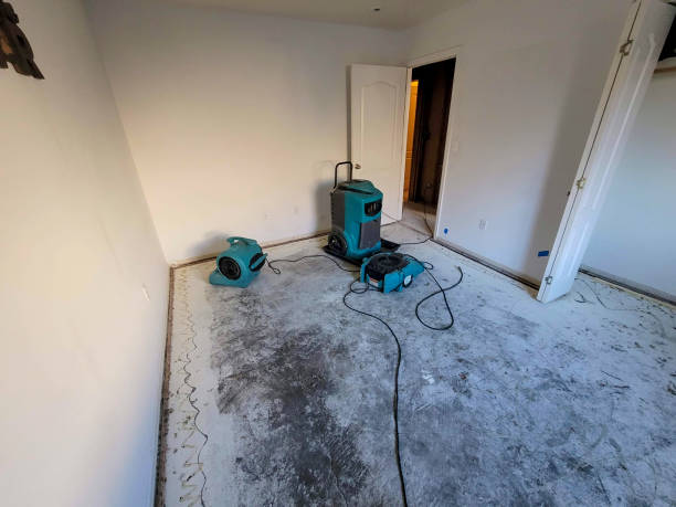 Best 24-hour water damage restoration  in South Hill, NY