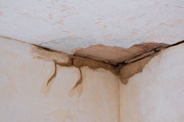 Best 24/7 water damage repair  in South Hill, NY