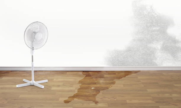 Best Flood damage cleanup  in South Hill, NY