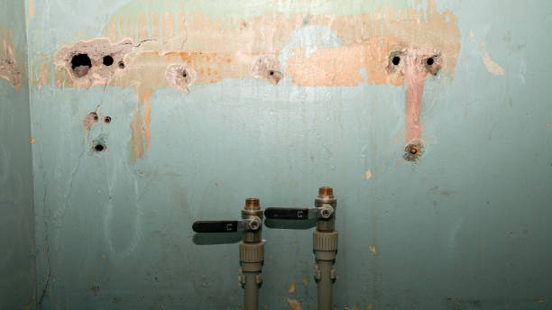 Best 24-hour water damage restoration  in South Hill, NY