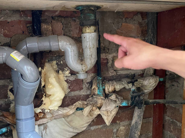 Best Water damage mitigation services  in South Hill, NY