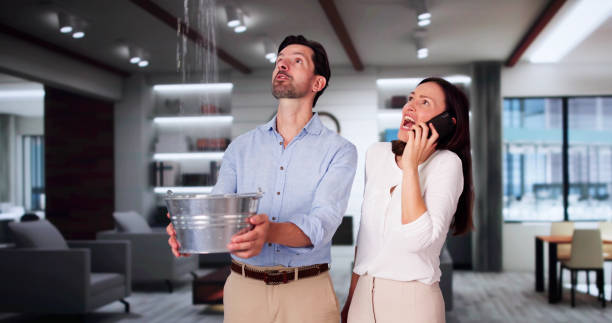 Best Local water damage restoration  in South Hill, NY
