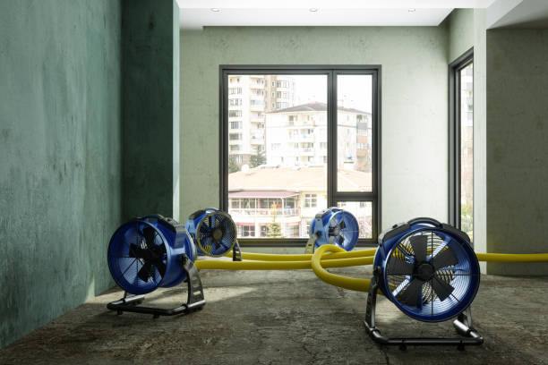 Best Professional water damage repair  in South Hill, NY